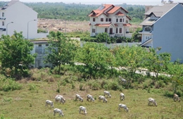 “Mở lối” cho thị trường bất động sản